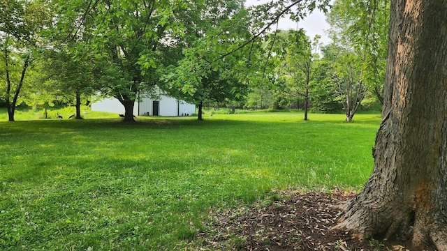 14890 Country Rd, Rogers, MN 55374 - view of grassy yard with an outdoor structure