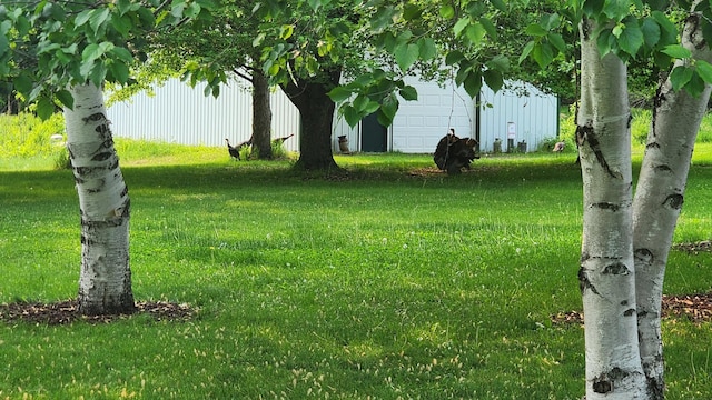 14890 Country Rd, Rogers, MN 55374 - view of green lawn with a garage