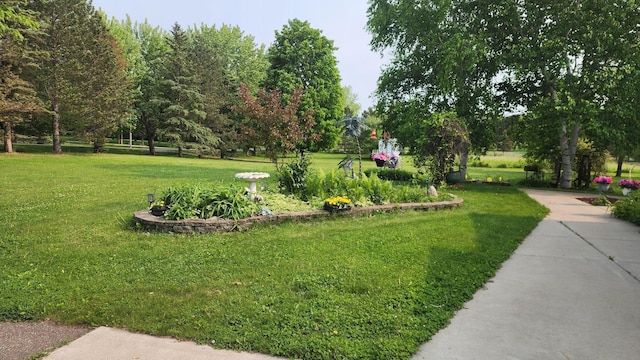 14890 Country Rd, Rogers, MN 55374 - surrounding community featuring a yard