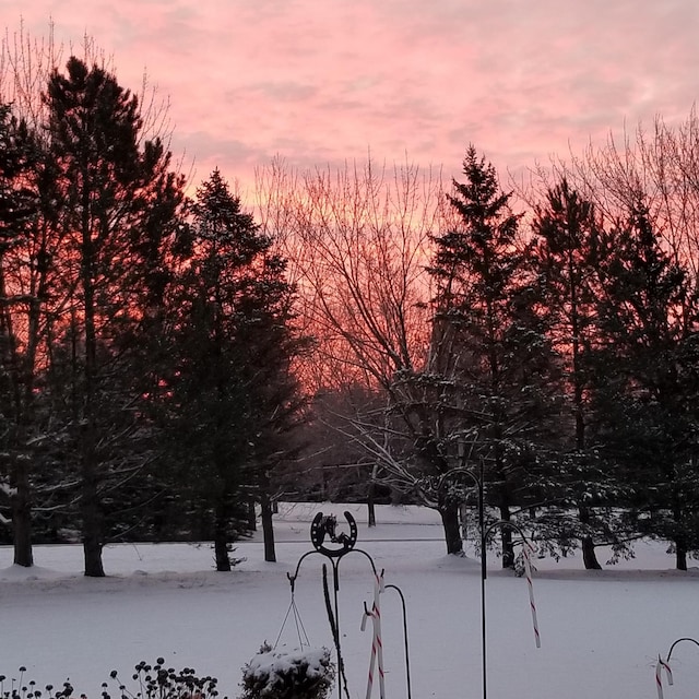 14890 Country Rd, Rogers, MN 55374 - view of surrounding community