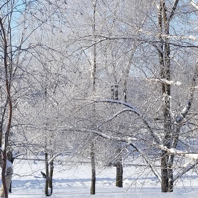 14890 Country Rd, Rogers, MN 55374 - view of snowy view