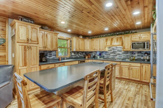290 Shorewood Dr, Detroit Lakes, MN 56501 - photo 30