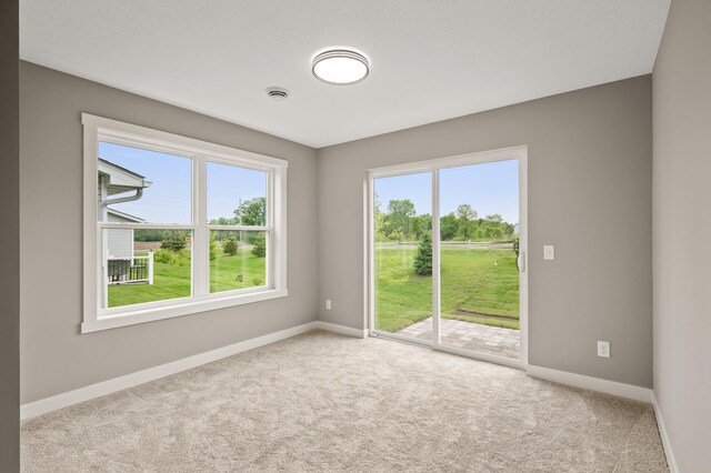 17266 204th Ave NW, Big Lake, MN 55309 - unfurnished room featuring carpet floors and baseboards
