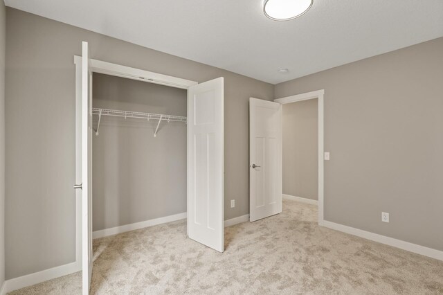 17266 204th Ave NW, Big Lake, MN 55309 - unfurnished bedroom featuring carpet, baseboards, and a closet