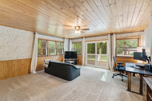 18799 147th St NW, Elk River, MN 55330 - office featuring wood ceiling, plenty of natural light, wooden walls, a ceiling fan, and a wainscoted wall