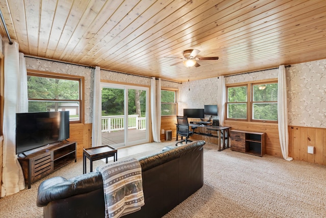 18799 147th St NW, Elk River, MN 55330 - living area with wooden ceiling, wood walls, wainscoting, an office area, and carpet floors