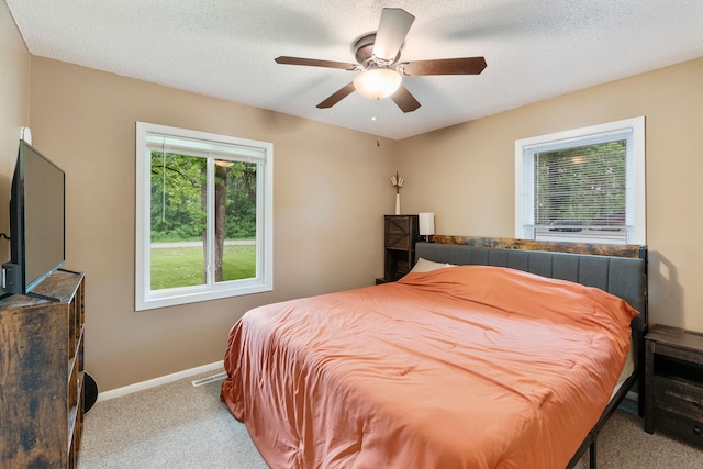 18799 147th St NW, Elk River, MN 55330 - bedroom with carpet, baseboards, ceiling fan, and a textured ceiling