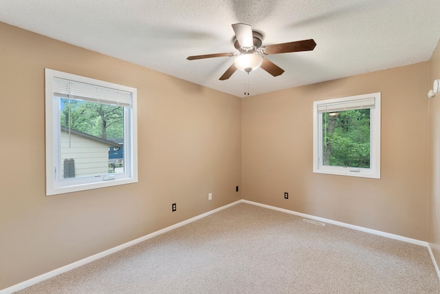 18799 147th St NW, Elk River, MN 55330 - unfurnished room with ceiling fan, carpet floors, baseboards, and a textured ceiling