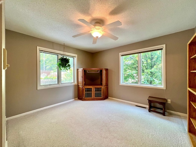 1319 3rd St, Red Wing, MN 55066 - unfurnished living room featuring a ceiling fan, a textured ceiling, carpet flooring, and baseboards