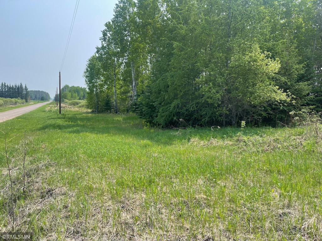 8017 Savanna Rd, Cedar Valley Twp, MN 55736 - photo 1
