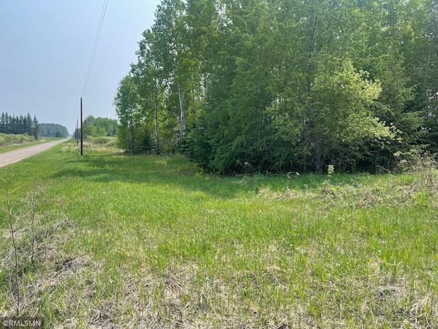 8017 Savanna Rd, Cedar Valley Twp, MN 55736 - photo 1