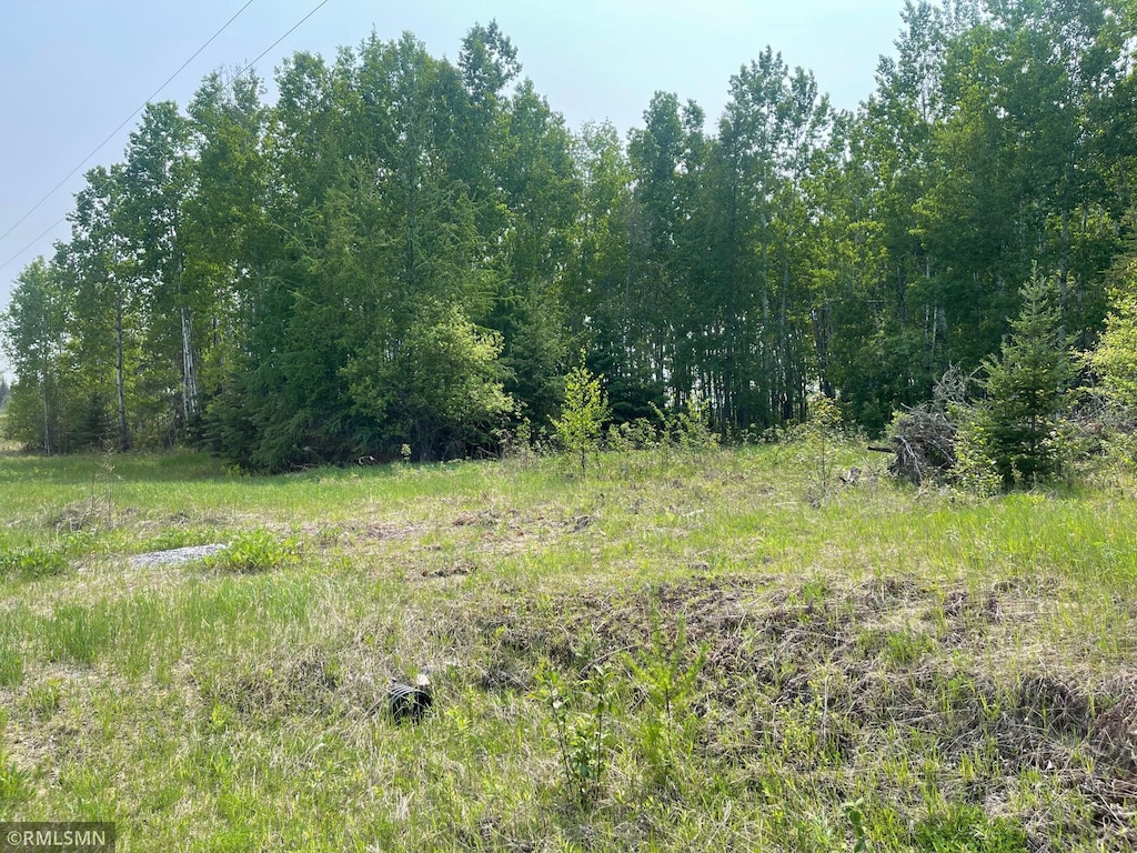 8017 Savanna Rd, Cedar Valley Twp, MN 55736 - photo 2