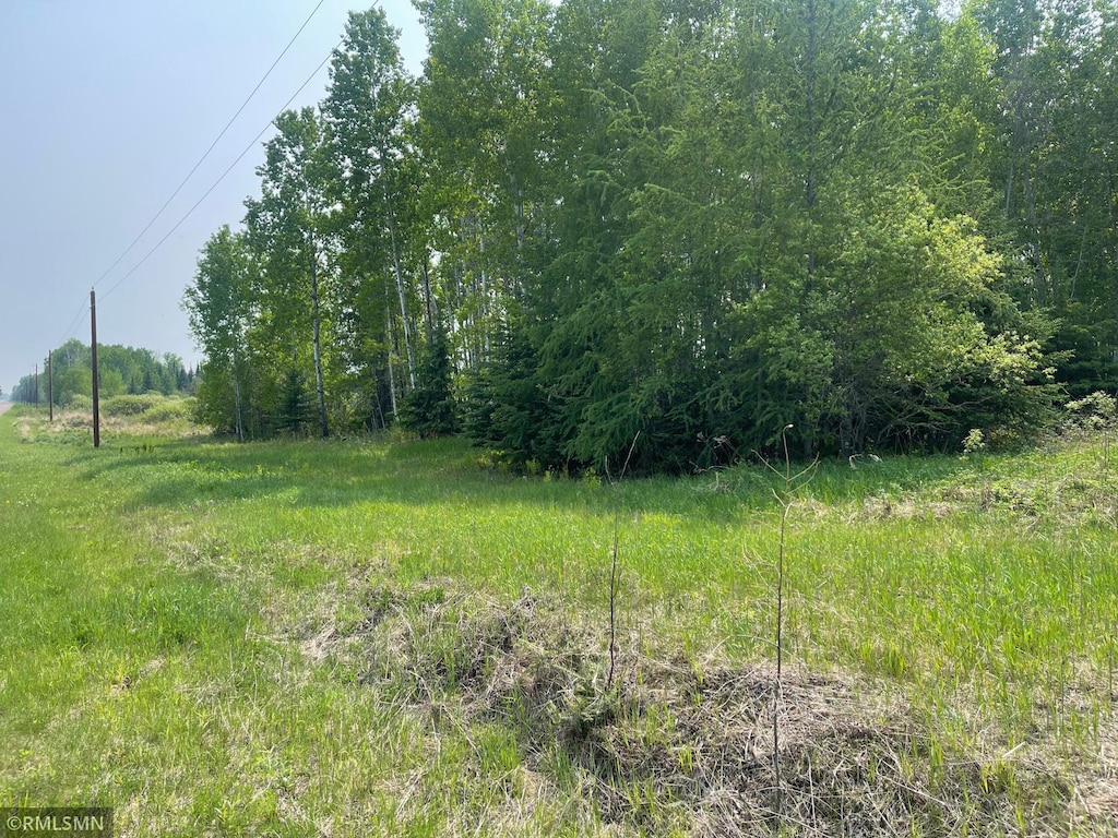 8017 Savanna Rd, Cedar Valley Twp, MN 55736 - photo 3
