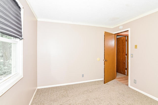 7952 Braddock Ave NE, Monticello, MN 55362 - photo 10