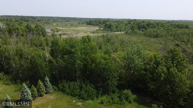 26612 State Highway 47, Aitkin, MN 56431 - view of tree filled area
