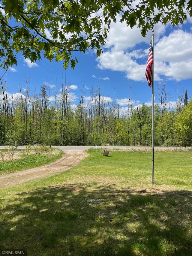 26612 State Highway 47, Aitkin, MN 56431 - view of home's community featuring a lawn and a view of trees