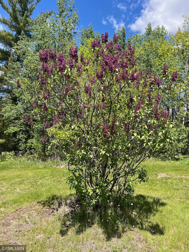 26612 State Highway 47, Aitkin, MN 56431 - view of yard