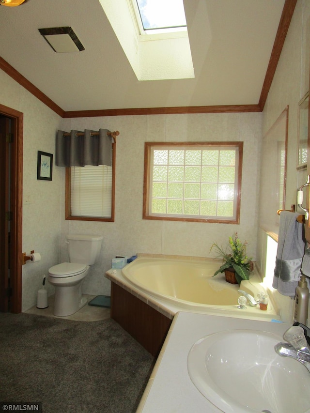 26612 State Highway 47, Aitkin, MN 56431 - bathroom featuring lofted ceiling, a sink, a skylight, a garden tub, and toilet