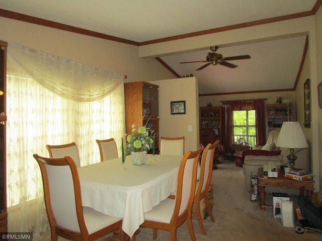 26612 State Highway 47, Aitkin, MN 56431 - dining room featuring carpet, crown molding, and a ceiling fan