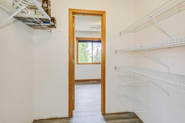 918 Mallard St NE, Hanover, MN 55341 - walk in closet featuring wood finished floors