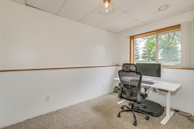 918 Mallard St NE, Hanover, MN 55341 - home office featuring carpet and a drop ceiling