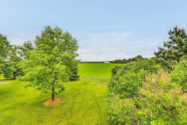 918 Mallard St NE, Hanover, MN 55341 - view of green lawn