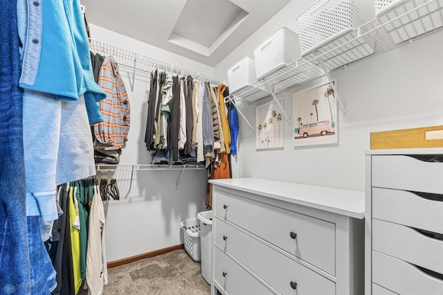 934 31st Ave W, West Fargo, ND 58078 - walk in closet featuring attic access and light carpet