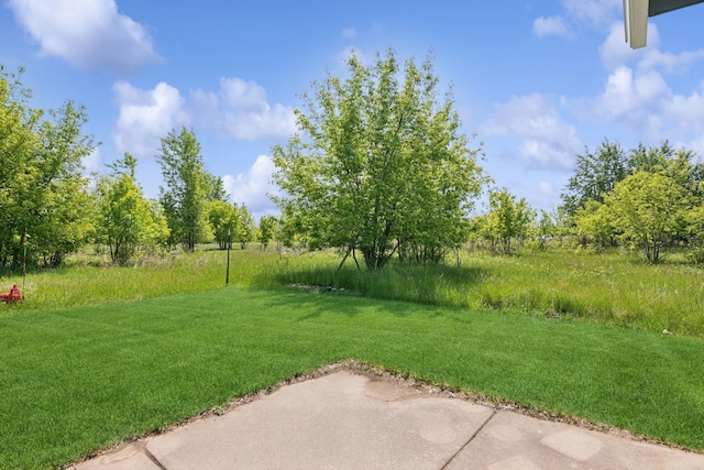 185 21st Ave SW, Cambridge, MN 55008 - view of green lawn