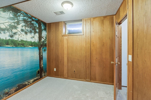5929 Oxford St N, Shoreview, MN 55126 - carpeted empty room featuring a textured ceiling and wooden walls