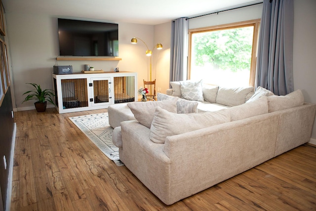 6014 6th St, Lake Park, MN 56554 - living room with hardwood / wood-style flooring and baseboards