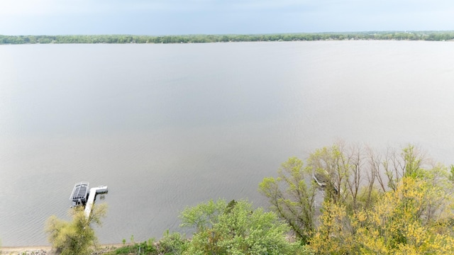 51470 Rush Lake Trl, Nessel Twp, MN 55069 - water view