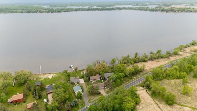 51470 Rush Lake Trl, Nessel Twp, MN 55069 - aerial overview of property's location featuring a large body of water