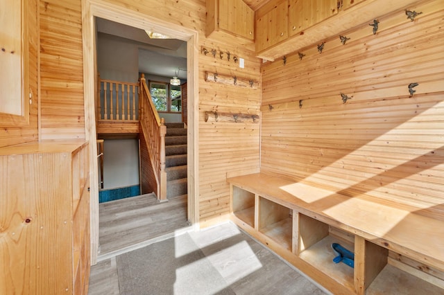 51470 Rush Lake Trl, Nessel Twp, MN 55069 - mudroom featuring wooden walls and a sauna