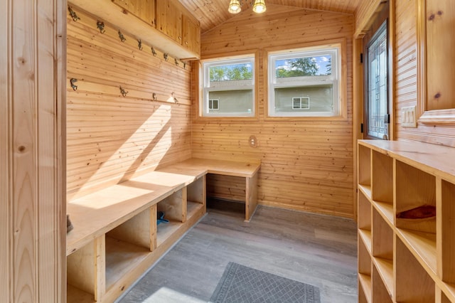 51470 Rush Lake Trl, Nessel Twp, MN 55069 - mudroom featuring wooden walls, lofted ceiling, a sauna / steam room, and wood finished floors