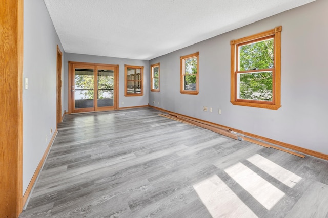 51470 Rush Lake Trl, Nessel Twp, MN 55069 - unfurnished room with a textured ceiling, healthy amount of natural light, wood finished floors, and baseboards