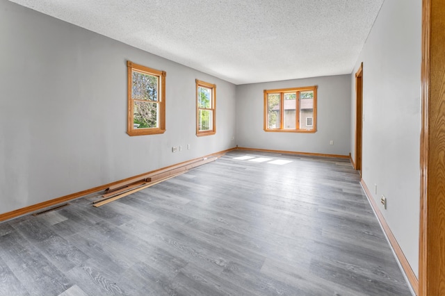 51470 Rush Lake Trl, Nessel Twp, MN 55069 - empty room with a textured ceiling, wood finished floors, and baseboards