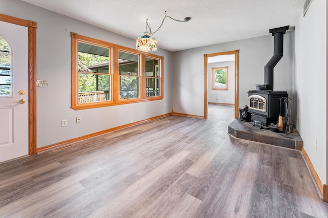 51470 Rush Lake Trl, Nessel Twp, MN 55069 - unfurnished living room featuring plenty of natural light, wood finished floors, a wood stove, and a textured ceiling