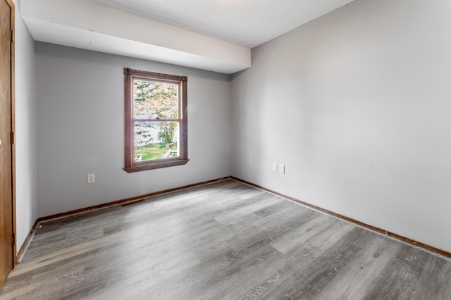 51470 Rush Lake Trl, Nessel Twp, MN 55069 - spare room featuring wood finished floors and baseboards