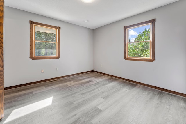 51470 Rush Lake Trl, Nessel Twp, MN 55069 - unfurnished room with plenty of natural light, wood finished floors, and baseboards