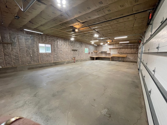 51470 Rush Lake Trl, Nessel Twp, MN 55069 - view of garage
