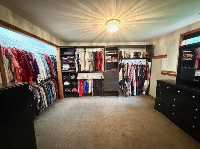 3224 48th St NW, Rochester, MN 55901 - walk in closet featuring carpet floors