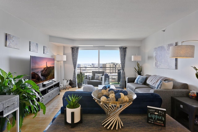 121 Washington Ave S Unit 1816, Minneapolis, MN 55401 - living room featuring wood finished floors and a textured ceiling