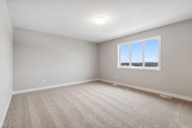 7442 171st Ln NW, Ramsey, MN 55303 - photo 11