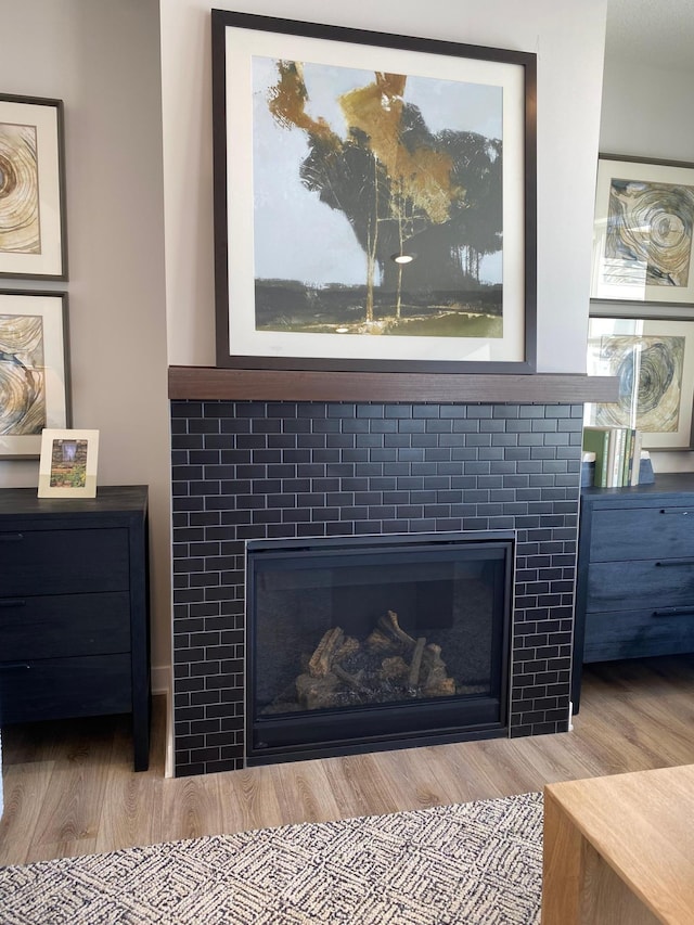16695 Manor Rd, Eden Prairie, MN 55343 - detailed view of a glass covered fireplace and wood finished floors