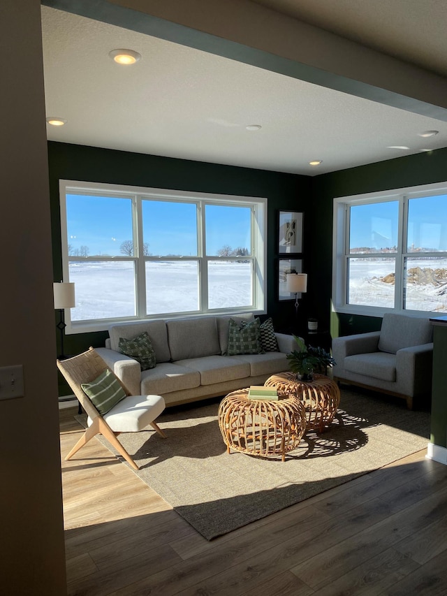 16695 Manor Rd, Eden Prairie, MN 55343 - living room with wood finished floors and recessed lighting