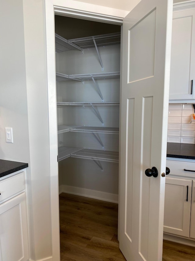 16695 Manor Rd, Eden Prairie, MN 55343 - view of pantry
