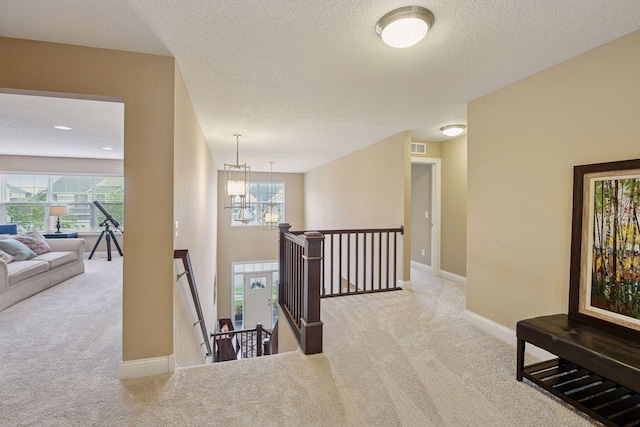 3866 Founders Path, Chaska, MN 55318 - photo 27