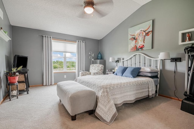 10465 172nd Ln NW, Elk River, MN 55330 - bedroom with vaulted ceiling, carpet flooring, a textured ceiling, baseboards, and a ceiling fan