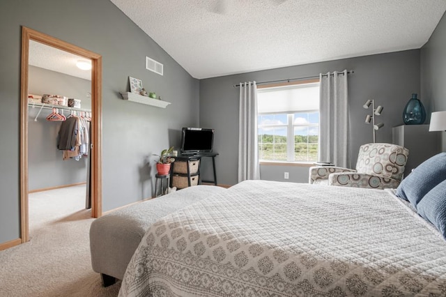 10465 172nd Ln NW, Elk River, MN 55330 - carpeted bedroom featuring lofted ceiling, a spacious closet, a textured ceiling, a closet, and baseboards