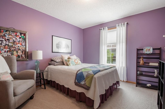 10465 172nd Ln NW, Elk River, MN 55330 - bedroom featuring light carpet, a textured ceiling, and baseboards
